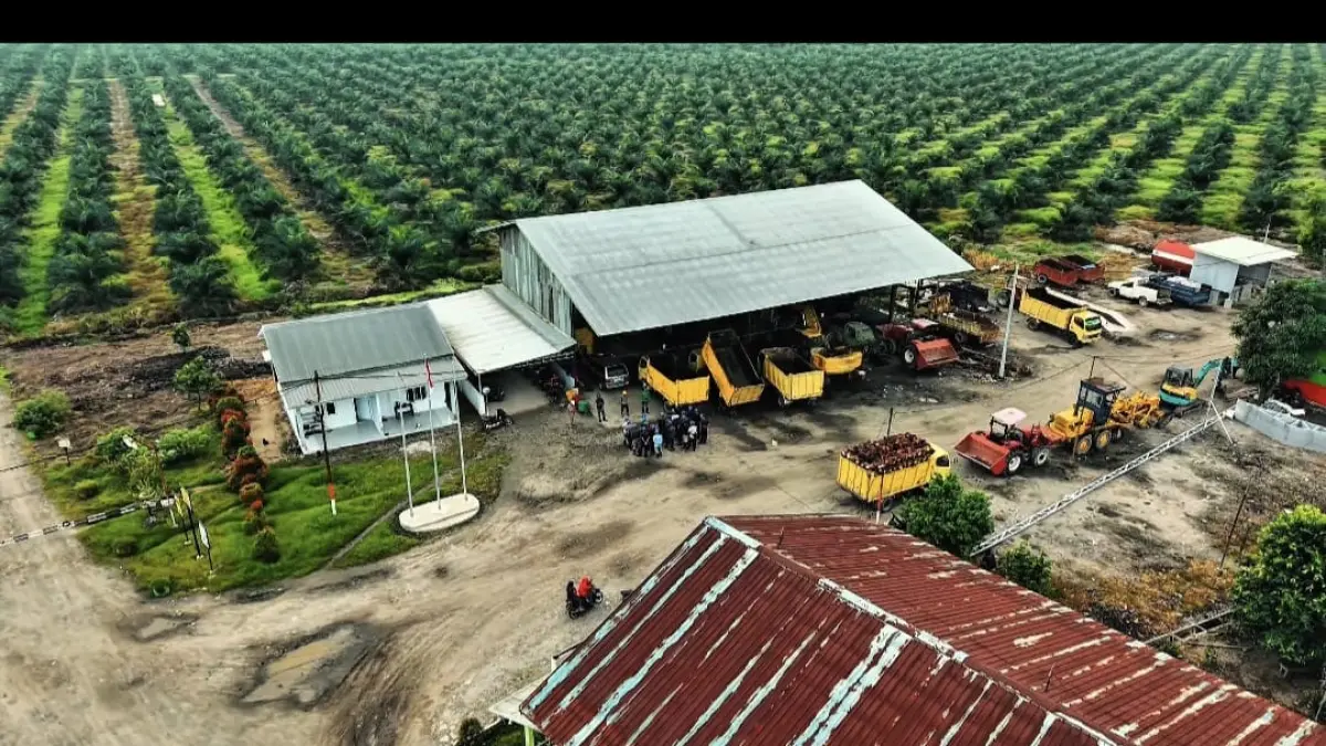 Areal lahan yang saat ini dikuasai PT CSIL.