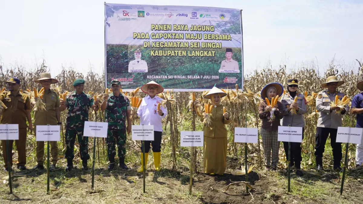 Kepala OJK Provinsi Sumatera Utara Triyoga Laksito bersama Plt Bupati Langkat Tiorita Br Surbakti menghadiri panen raya jagung dan penandatanganan kerja sama Klaster Kemitraan Pertanian Jagung di Kabupaten Langkat, Selasa (7/7/2026).