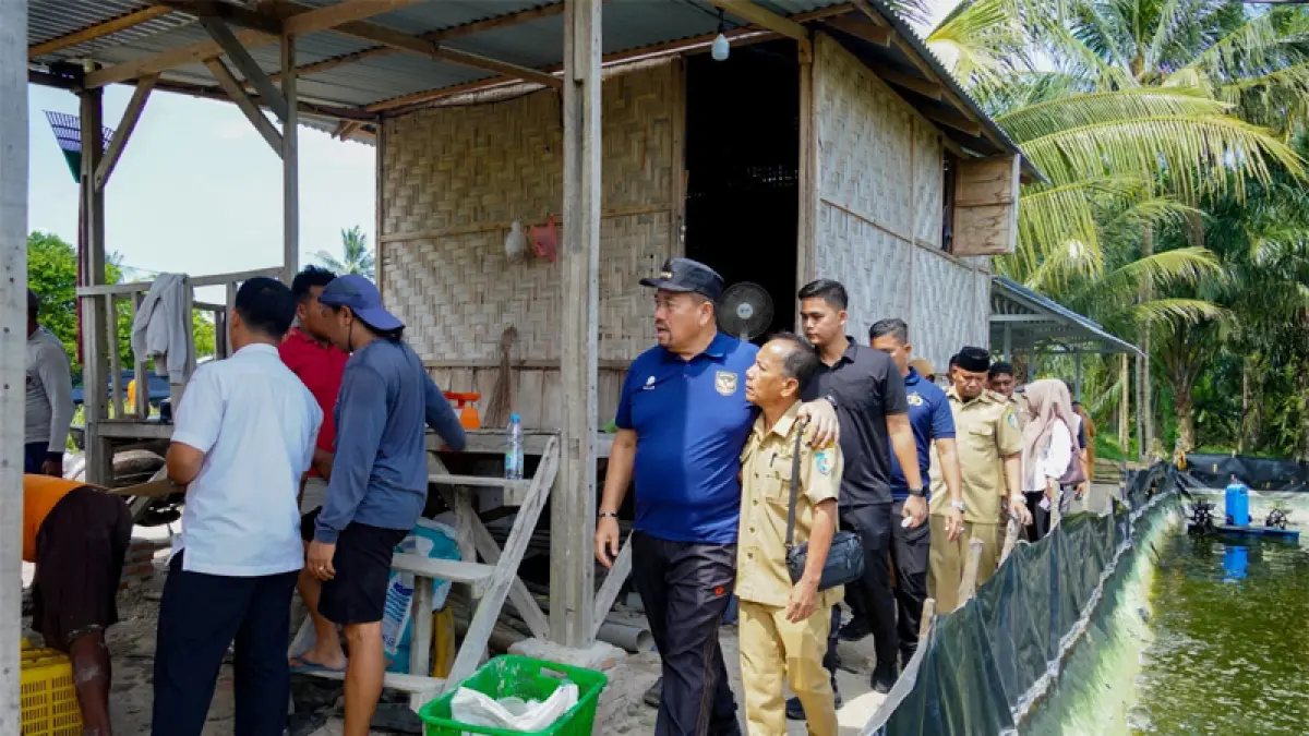 Bupati Batu Bara Dr. H. Baharuddin Siagian, menghadiri Panen Raya Udang Vaname yang digelar di Dusun I Gambus Laut, Kecamatan Lima Puluh Pesisir.