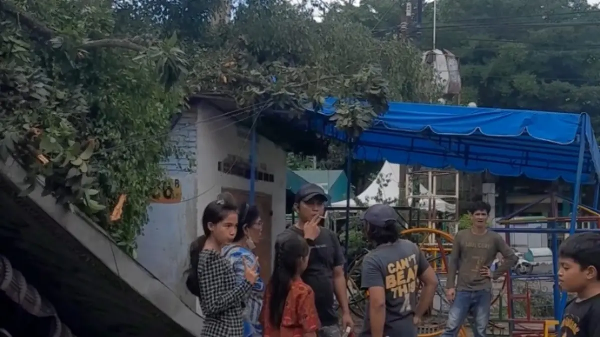  Rumah tertimpa pohon di Medan sebulan lalu.
 