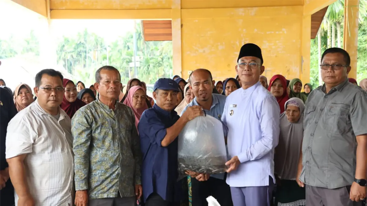 Bupati Tapsel H. Gus Irawan Pasaribu serahkan bantuan 10 unit kolam bundar, 10.000 bibit ikan lele, dan 30 sak pakan ikan kepada Pokdakan Tandihat Bangkit.
