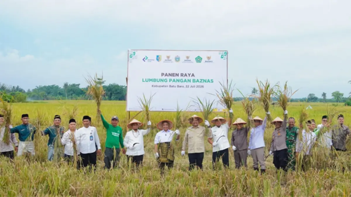 Bupati Batu Bara, Dr. H. Baharuddin Siagian, mengikuti Panen Raya Program Lumbung Pangan Padi BAZNAS di Dusun II, Desa Kuala Gunung, Kecamatan Datuk Lima Puluh.