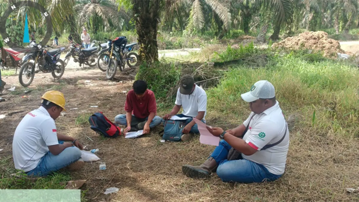 Karyawan PT CSIL melakukan penghitungan tandan buah sawit yang dijarah warga.