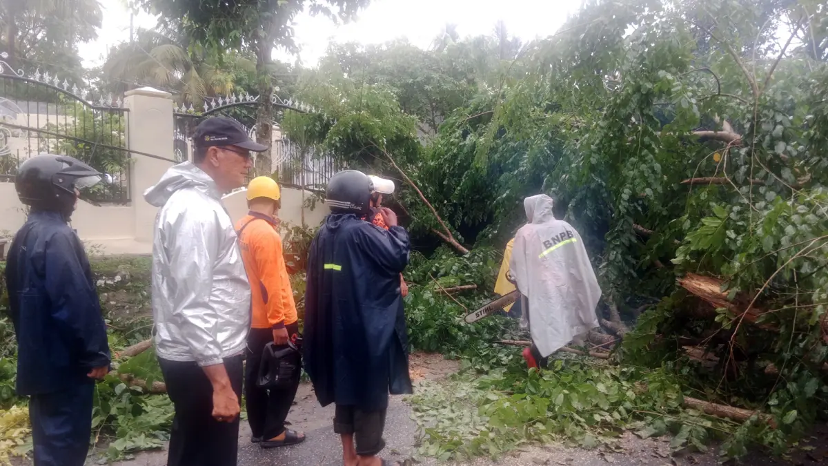 Petugas bersama warga mengevakuasi pohon mahoni yang tumbang akibat hujan deras dan angin kencang di Jalan Kasad, Pematangsiantar.