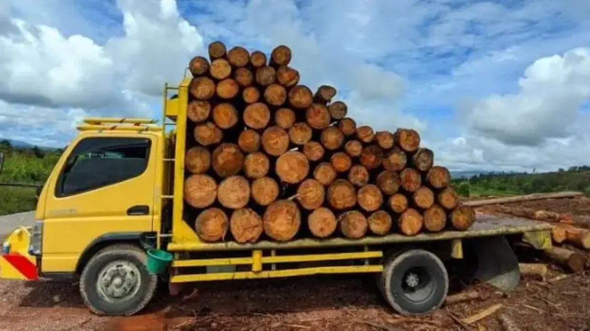 Puluhan truk pengangkut kayu pinus diduga menunggu dokumen pengiriman di kawasan Siborongborong, Tapanuli Utara. Dugaan penyalahgunaan dokumen kini diminta segera diusut.
