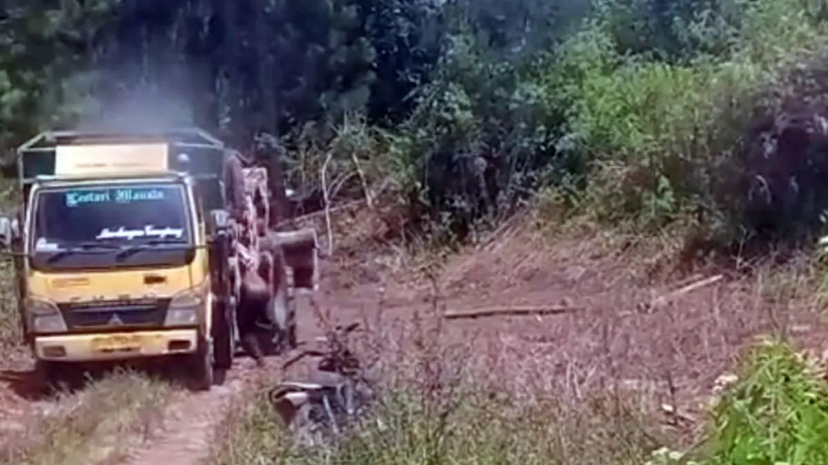 Aktivitas penebangan kayu di Dusun Huta Ginjang, Desa Huta Bulu, Kecamatan Siborongborong, Kabupaten Tapanuli Utara, yang menjadi sorotan karena diduga belum memenuhi seluruh persyaratan administrasi. 