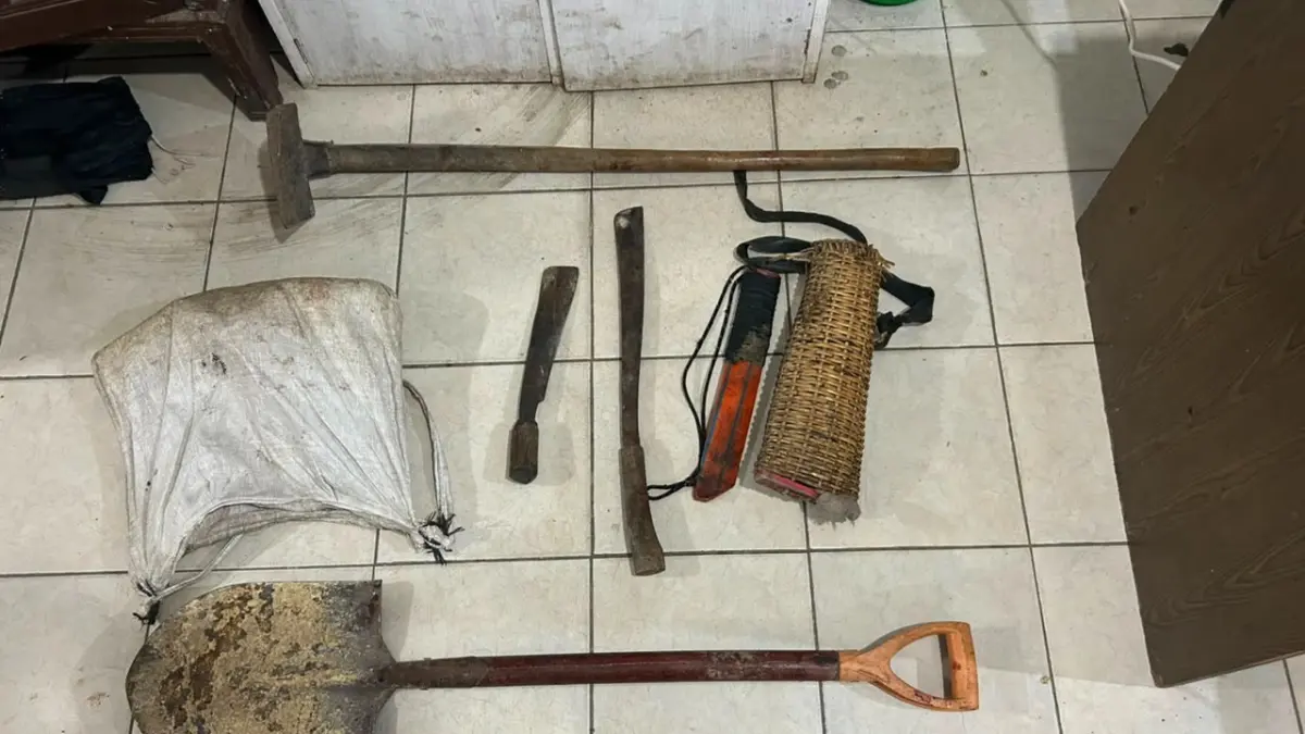 Barang bukti yang diamankan polisi dari kebun milik tersangka di Desa Pinagar, Kecamatan Arse, Kabupaten Tapsel. (Ist)