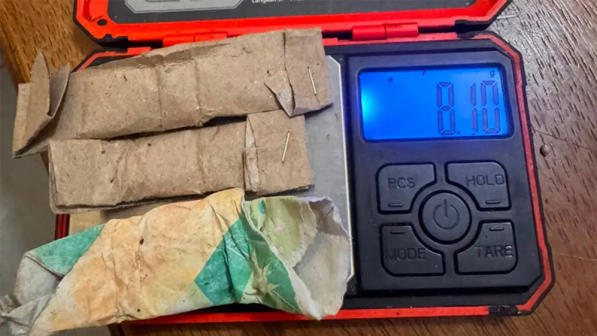 Sejumlah barang bukti ganja yang diamankan Polisi.
