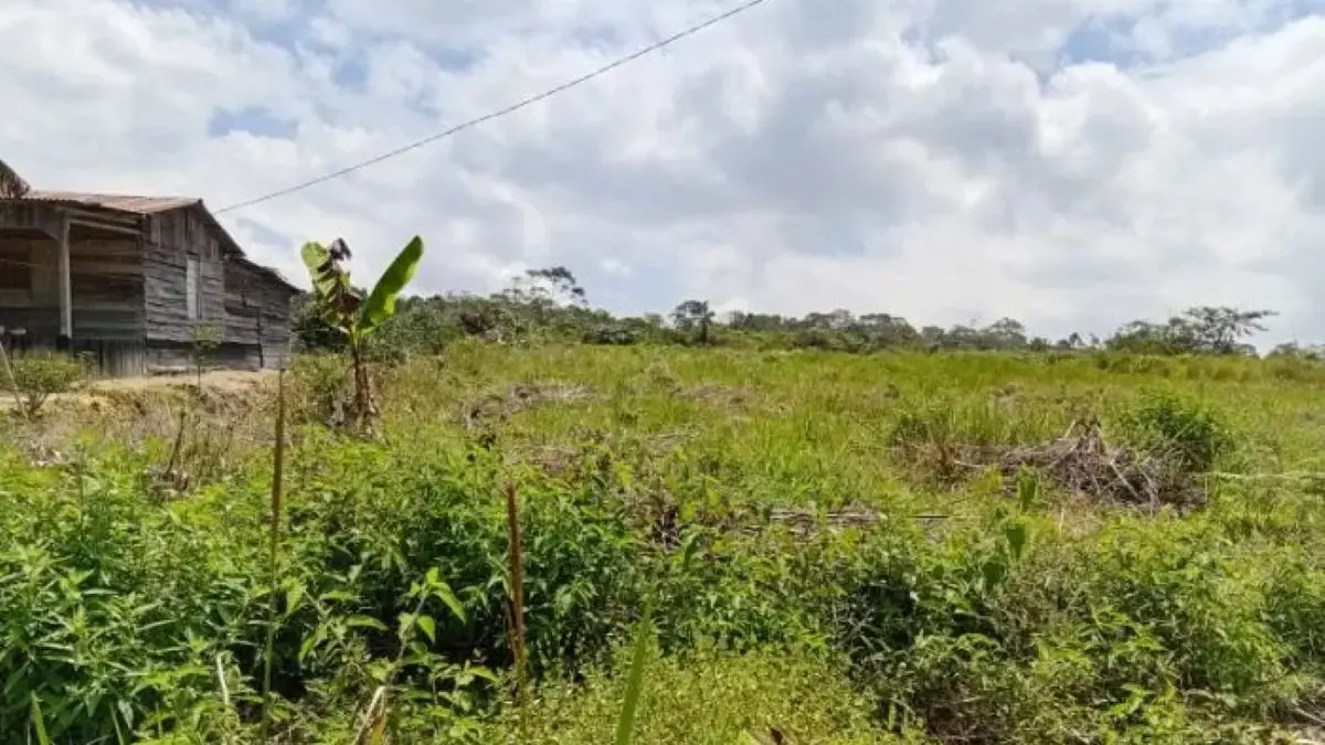 Salah satu lokasi kawasan hutan Sijaba milik Pemkab Taput di Dusun Silalahi Desa Pohan Tenga yang disebut telah terbit SHM.