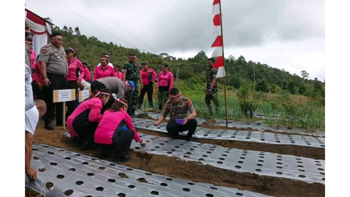 Kapolres Taput AKBP Ferry Mulyana Sunarya bersama Bhayangkari, personel Polres Taput dan kelompok tani menanam bawang putih di Pea Tolong, Desa Simorangkir Julu, Kecamatan Siatas Barita. 