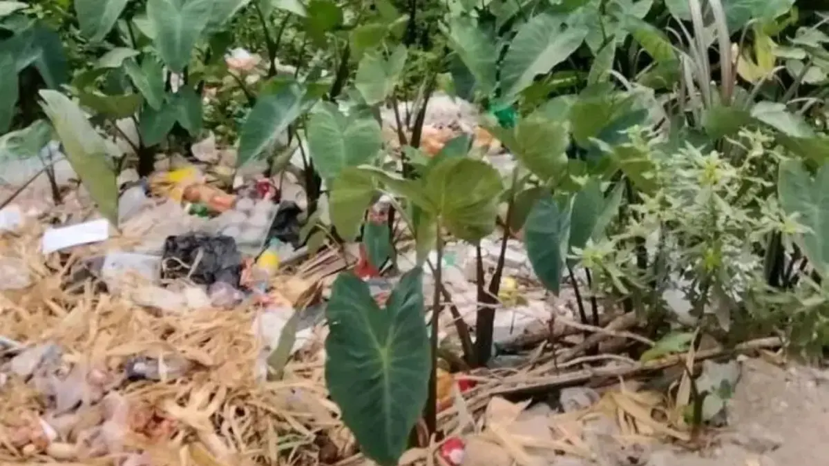 Tumpukan sampah membusuk yang dikeluhkan warga Desa Pardomuan I, Kecamatan Pangururan, Kabupaten Samosir. (