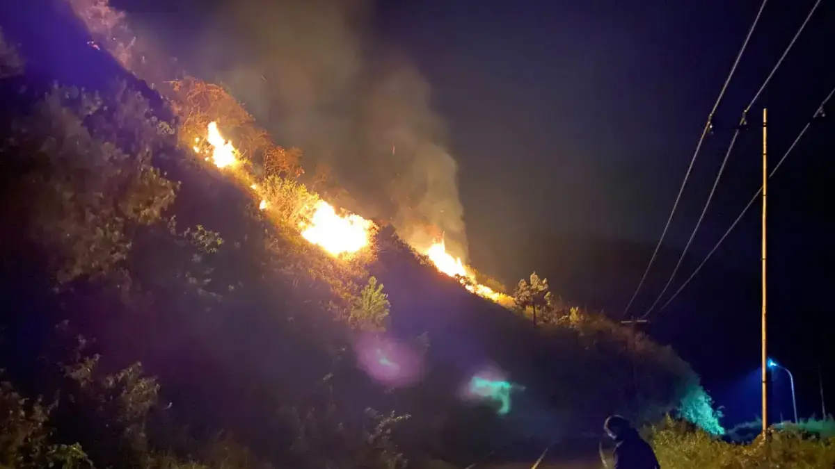 Kebakaran melanda kawasan Bukit Sitalmak Talmak, Samosir, dan menghanguskan sekitar 5 hektare lahan. 