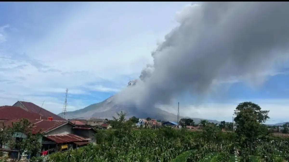 Gunung Sinabung kembali erupsi dengan kolom abu vulkanik membubung sekitar 3,5 kilometer di atas puncak.