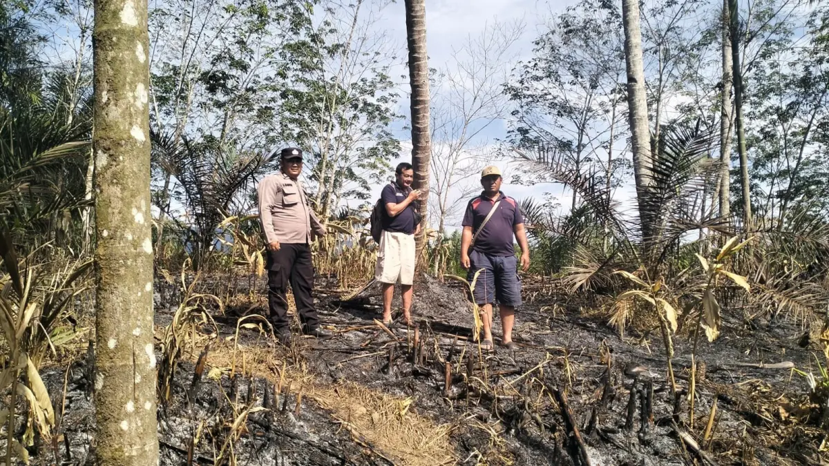 Petugas mengecek lokasi hotspot di Nagori Dolok Mariah, Kecamatan Dolok Silau, Simalungun. Api di lahan sekitar 3 rante telah padam saat petugas tiba.