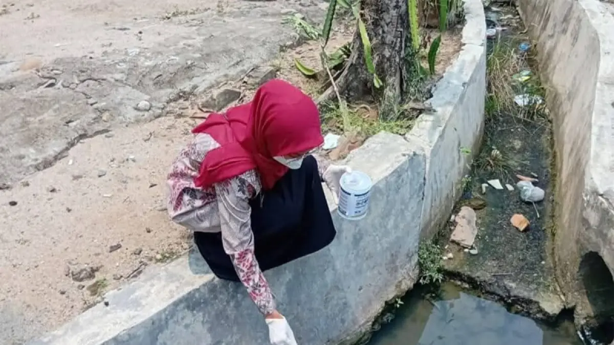 Petugas UPTD Puskesmas Kampung Pajak menaburkan obat pembasmi jentik pada parit atau selokan.