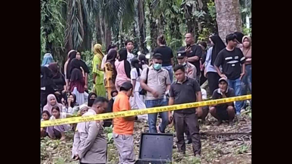 Penemuan mayat — Warga menemukan jasad pria 67 tahun di area perkebunan kelapa sawit Desa Sibodak Papaso, Palas.
