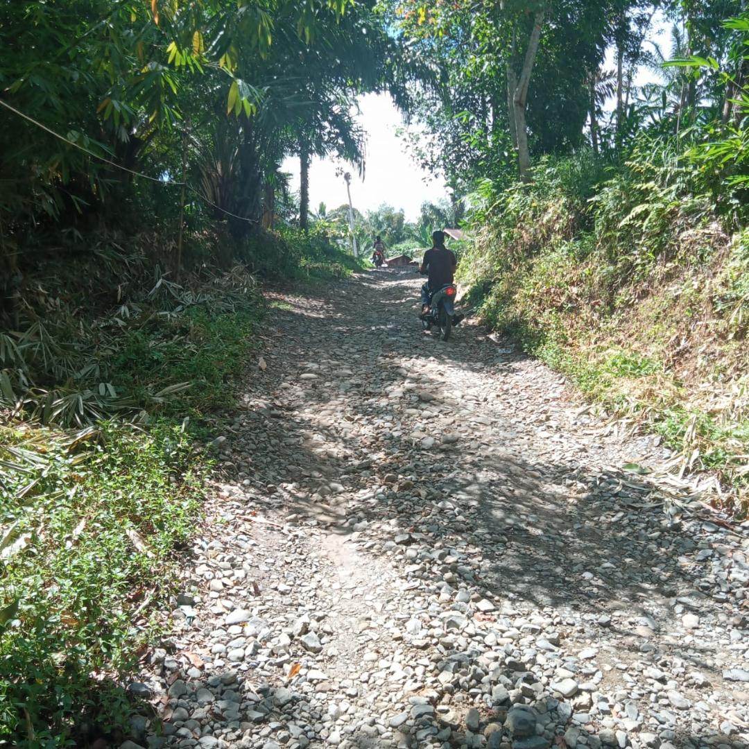 Foto: Tim/New Tapanuli Kondisi jalan menuju Desa Manduamas Baru yang tinggal bebatuan dan tanah.