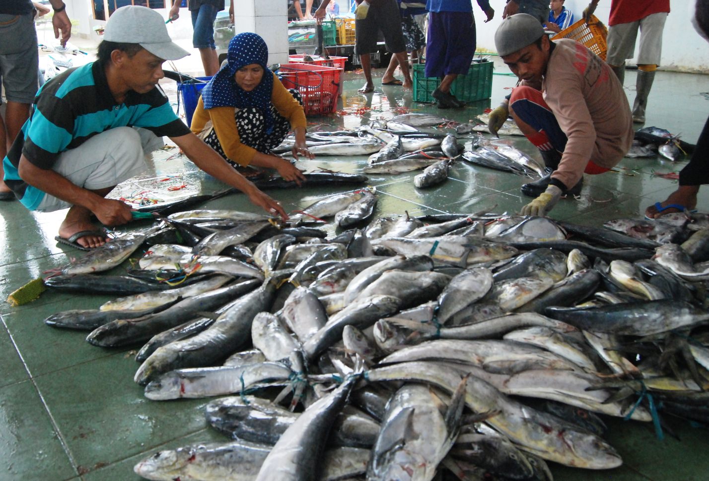 Pedagang ikan di Sibolga.