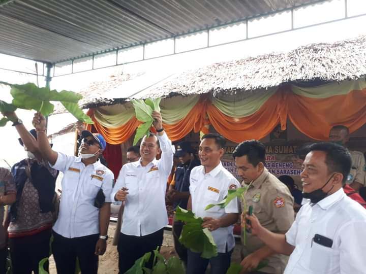 Ketua Karang Taruna Simalungun, Bonauli Rajagukguk mengatakan, Talas Beneng memiliki nilai jual yang cukup tinggi.