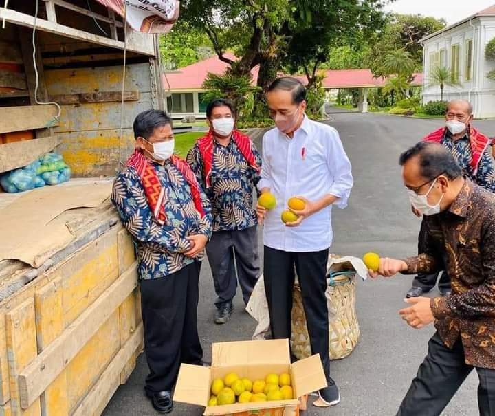 Presiden Jokowi terima jeruk 1 ton dari petani Karo.