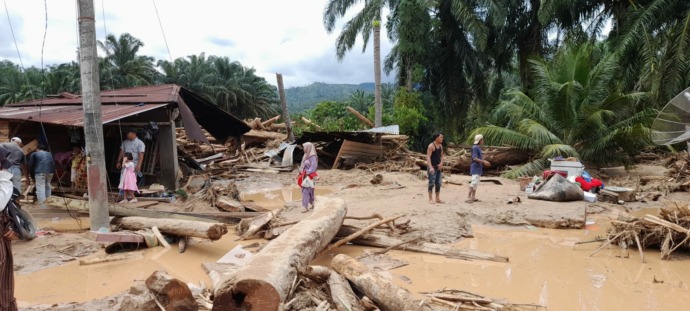 Foto: Parningotan/MetroDaily Banjir bandang yang menghanyutkan ratusan gelondongan kayu, diduga bencana ekologis akibat kerusakan hutan lingkungan. 