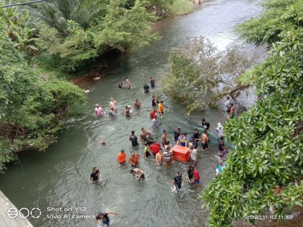 Foto: Panen budi daya ikan salah satu kelompok lubuk larangan. 