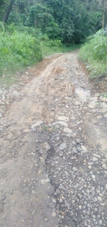 Foto: (Edy Hutauruk/New Tapanuli)   Kondisi jalan desa menuju Sihiong  seperti sungai kering, terjal, penuh bebatuan.