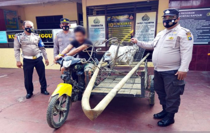 Foto: Tersangka pelaku pencurian bongkar rumah saat diamankan Polsek Panyabungan.