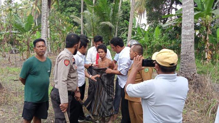 AG, pembacok ibu kandung, ditangkap di persawahan di Panyabungan, Madina.