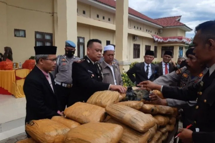 Foto: Kapolres Palas AKBP Indra Yanitra Irawan memperlihatkan barang bukti 80 bal ganja.