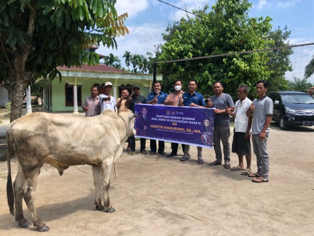 Anggota DPR RI Martin Manurung menyalurkan 15 ekor sapi qurban untuk 15 masjid dan musholla yang ada di daerah pemilihannya, di Sumatera Utara II.
