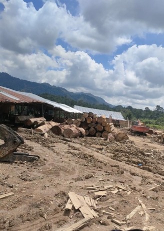 Lokasi pengolahan kayu di Desa Poldung, Kecamatan Aek Natas, Kabupaten Labuhanbatu Utara.