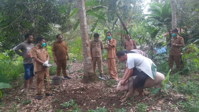 Dinas Peternakan Perikanan bersama warga, sedang memberikan pengobatan terhadap ternak sakit.