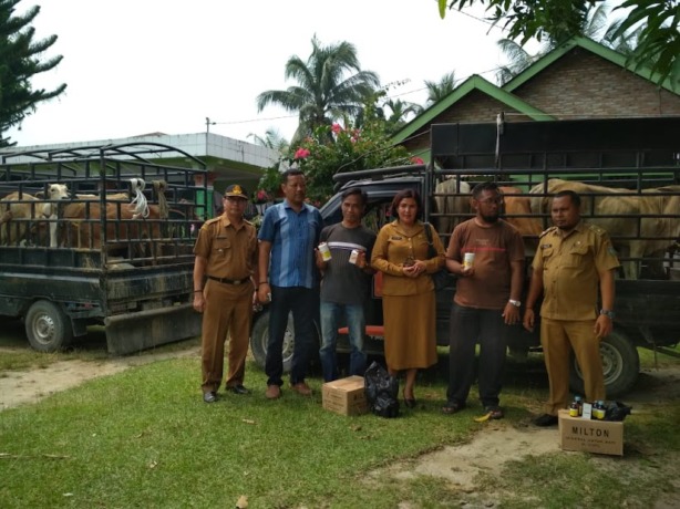 Kegiatan serah-terima bantuan hewan lembu tahun 2020 lalu.