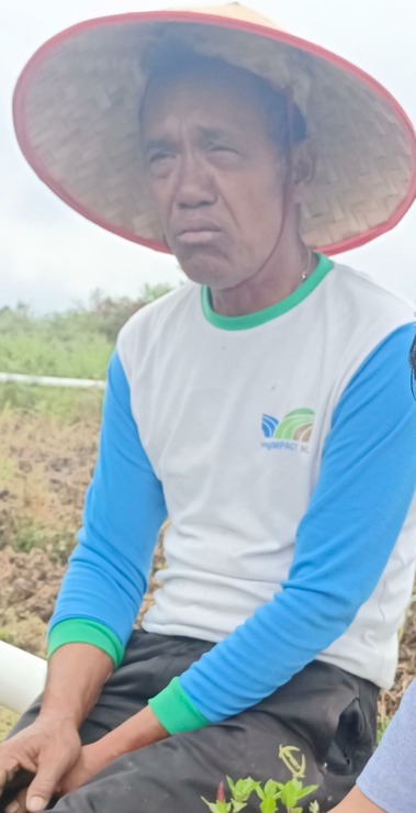 Foto: Gemael S/MetroDaily Ketua Kelompok Tani Ria Bersinar, Haposan Siregar (Pakai Topi Caping/Petani).