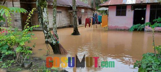 Tingginya intensitas curah hujan dalam dua pekan belakangan ini berdampak terjadi banjir yang mengepung pemukiman warga di Pasar Lombang Ujung Batu Sosa, Kecamatan Sosa, Palas, Sumatera Utara.