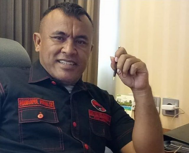 Ketua Fraksi PDI Perjuangan DPRD Sumut, Mangapul Purba.