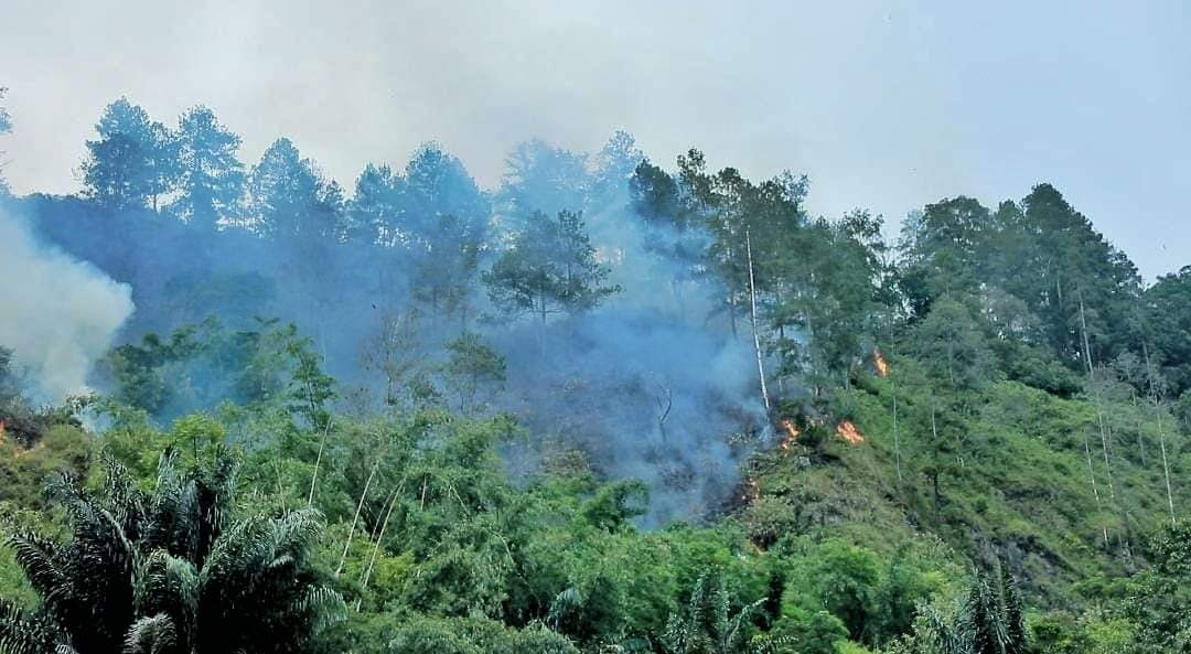 Kebakaran hutan yang terjadi di Kecamatan Haranggaol Horison, Kabupaten Simalungun.