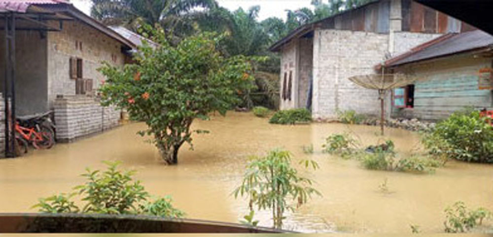 Kondisi banjir di rumah warga di Madina. Foto: (WOL)
