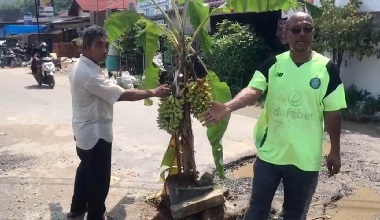 Aktivis LSM Ribu Simatupang saat melakukan aksi menanam pohon pisang di badan Jalan provinsi ruas Tugu Ikan Sibuluan-Aek Horsik di Sibuluan Indah, Pandan, Tapanuli Tengah, Sabtu (23/9).