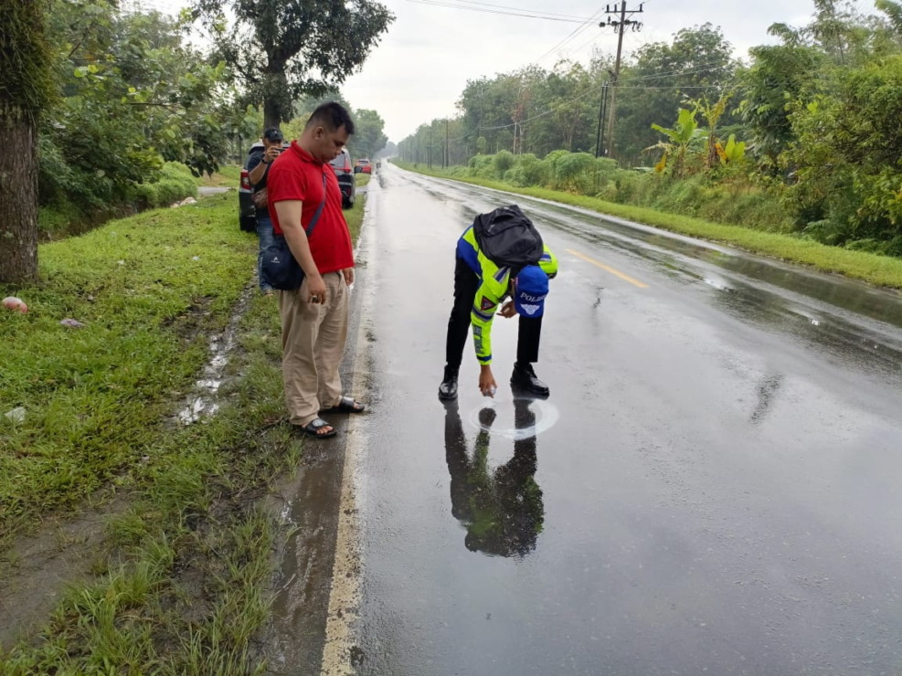 Lokasi kejadian mobil Toyota Avanz menabrak sapi.
