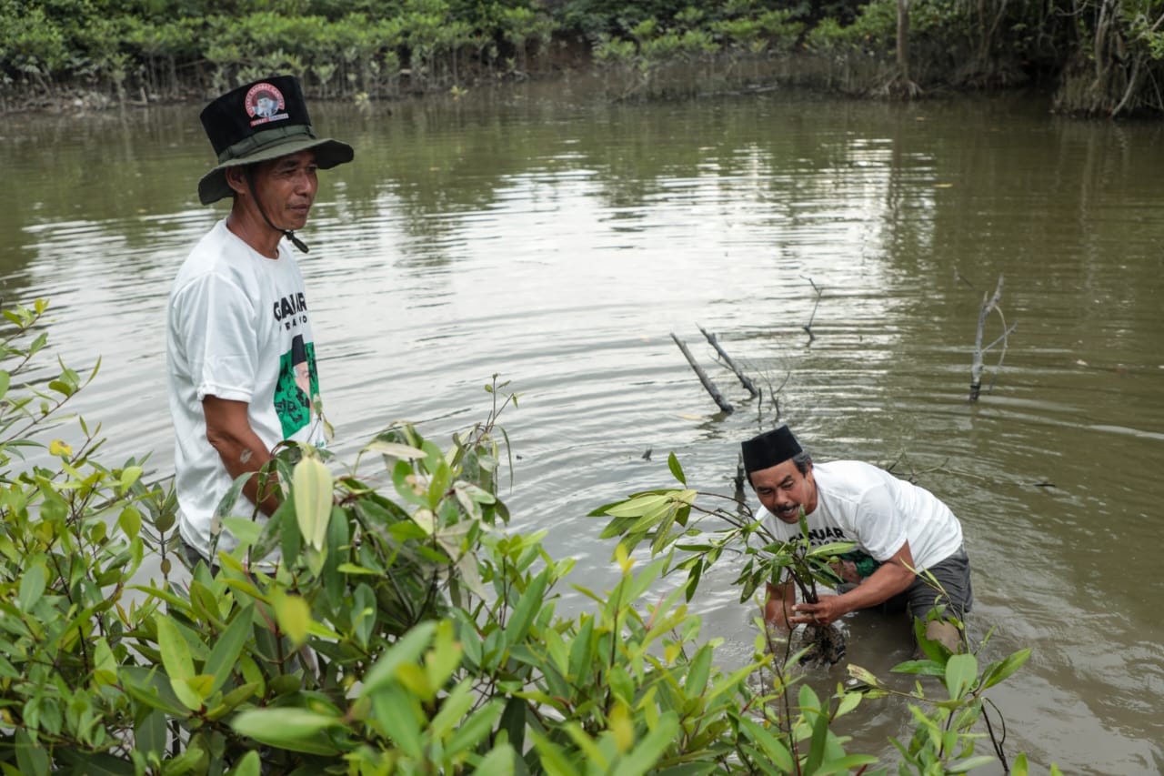 DIEDUKASI: Warga Desa Selotong, Kecamatan Secanggang, Kabupaten Langkat, lakukan penanaman mangrove sebagai salah satu cara memitigasi abrasi di wilayah mereka, Jumat 20 Oktober 2023. Ist