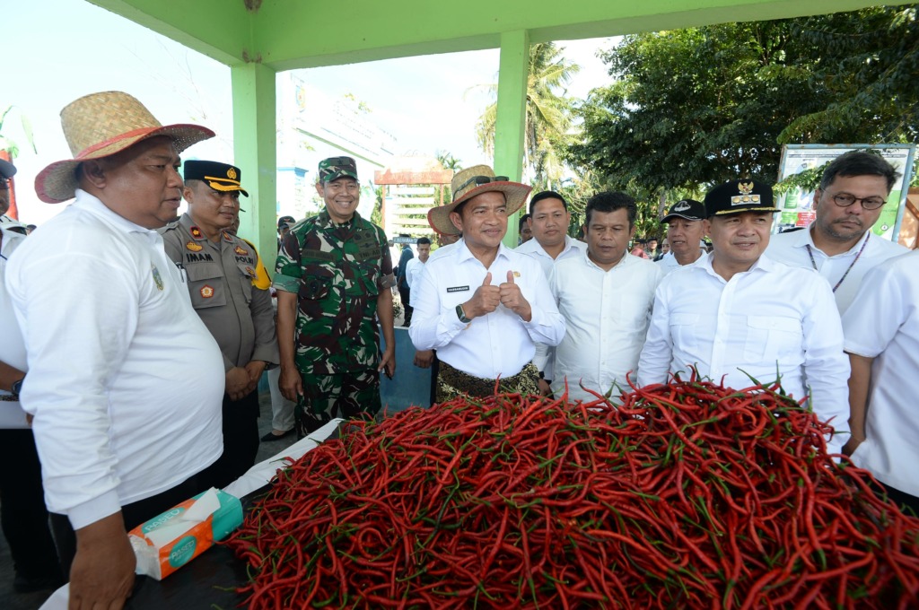 Pj Gubernur Sumatera Utara (Sumut) Hassanudin bersama Bupati Batubara Zahir melaksanakan panen raya cabai merah di Desa Lubuk Cuik, Kecamatan Limapuluh Pesisir, Kabupaten Batubara, Rabu (25/10). Batubara merupakan sentra cabai merah terbesar kedua di Sumu