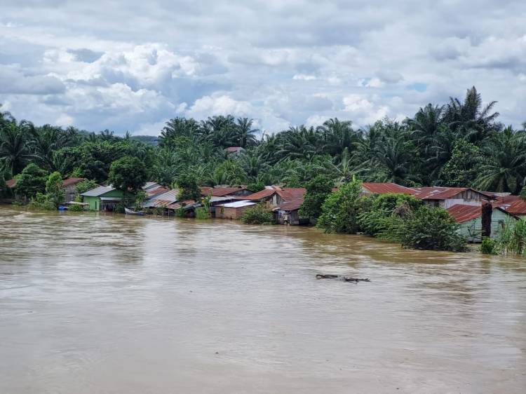 Sungai Barumun Kotapinang: Debit air sungai Barumun Kotapinang tinggi menggenangi hingga ke pemukiman warga yang berada di pinggiran sungai Barumun. (Foto: sib)