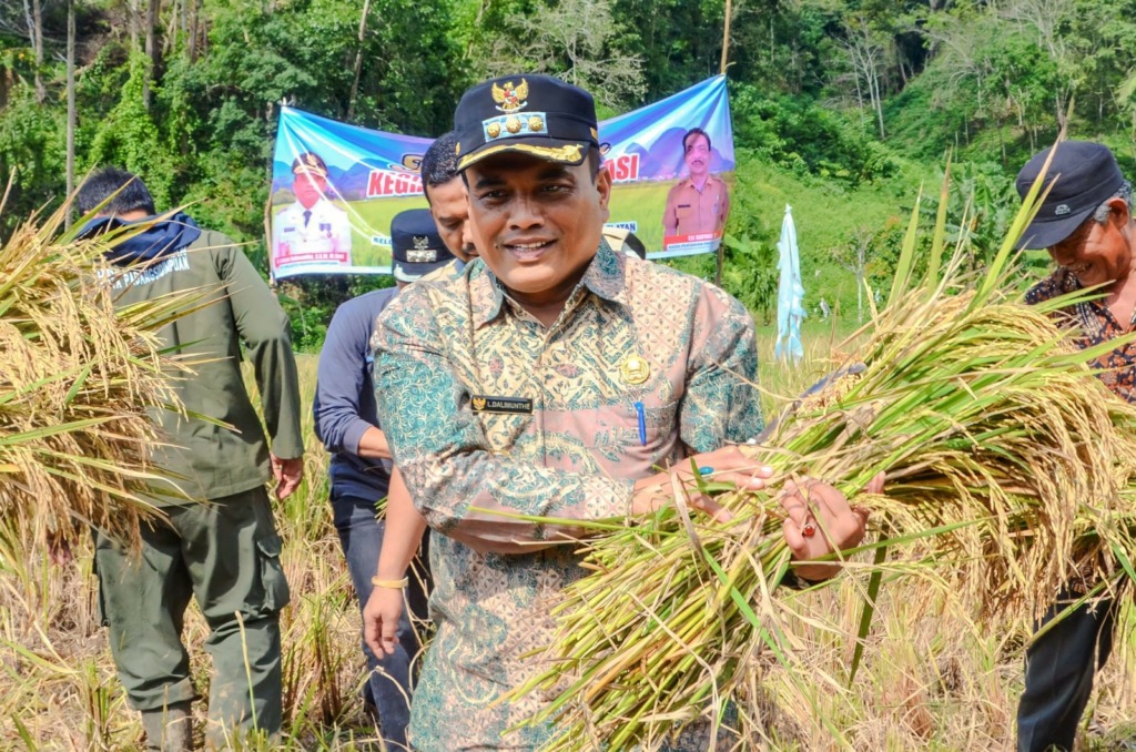 Pj Wali Kota Psp Letnan Dalimunthe bersama Forkopimda dan Pimpinan OPD panen padi Kelompok Karya Tani di Silandit, Kec. Psp Selatan. (Foto: Humas Pemko Psp)