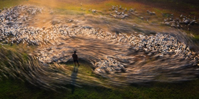 Cao Ky Nhan (Vietnam) memenangkan kompetisi Lingkungan Terbuka di Epson International Pano Awards 2023 untuk fotonya yang berjudul