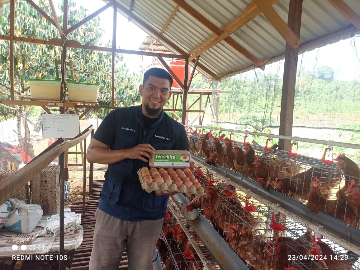 POTENSI: Bisnis di bidang peternakan dipilih Bambang Saputro, dengan mengembangkan telur probiotik omega-3 dan produksi pakan yang diformulasikan mandiri.
