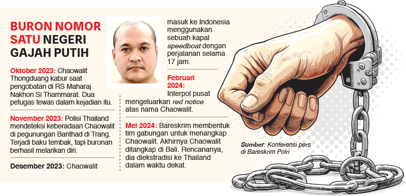 Infografis