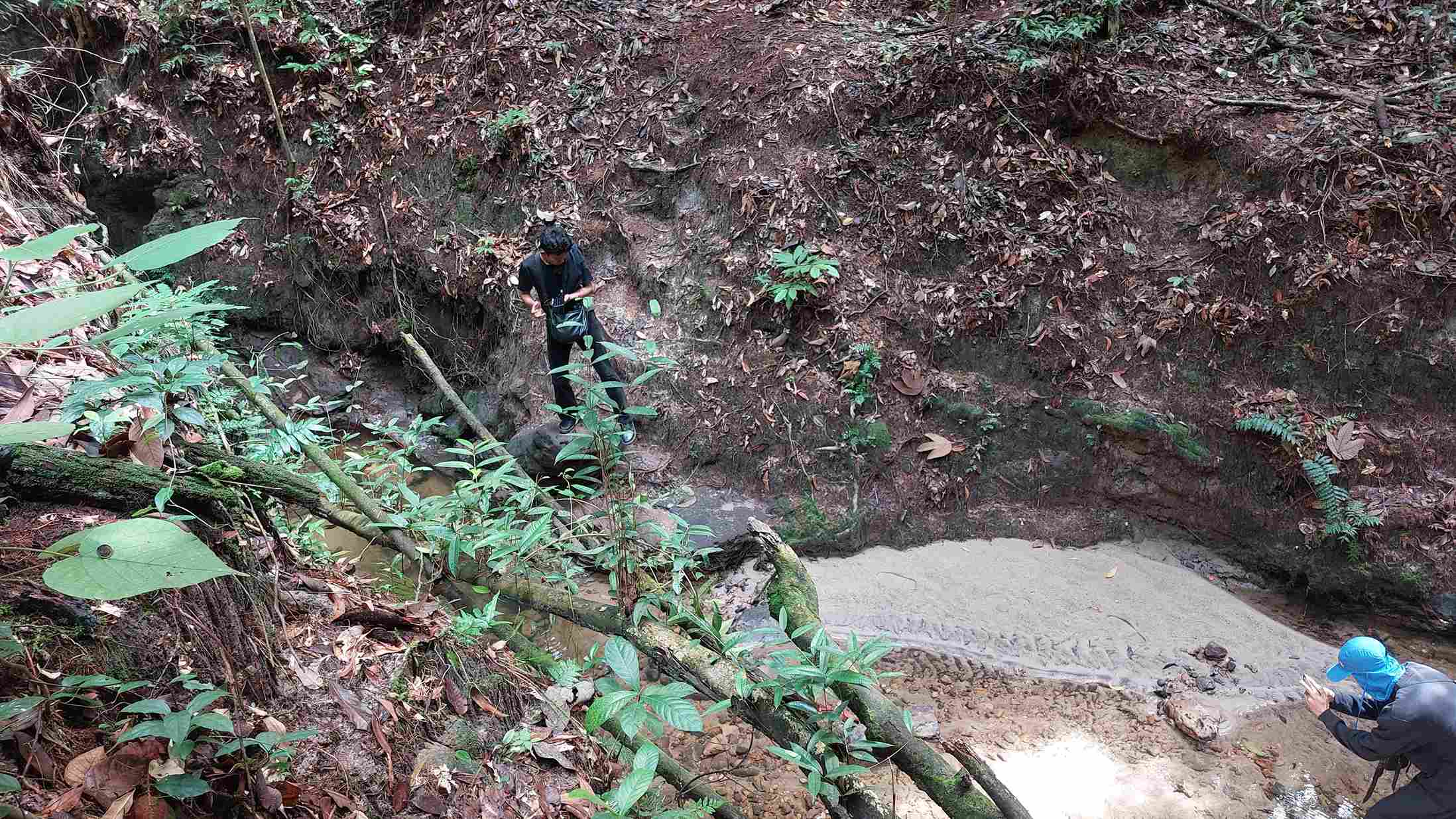 BERTUALANG: Salah satu sudut hutan kota yang menyimpan banyak cerita. (Foto: Okta/KP)