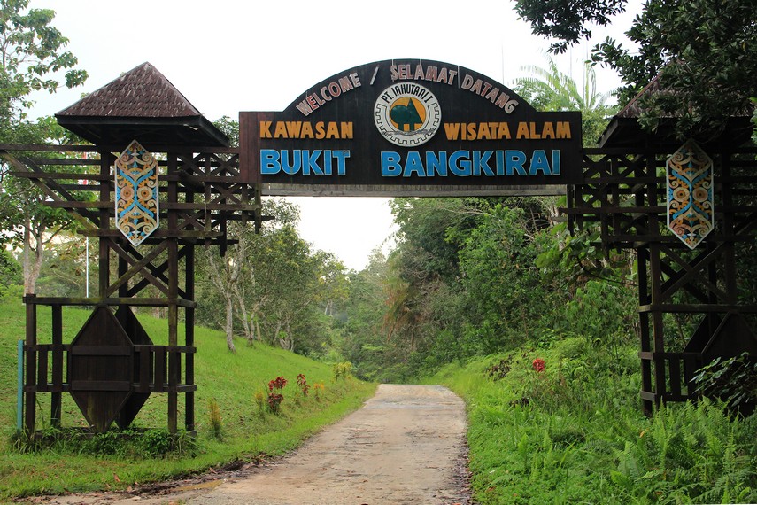 Gapura Objek Wisata Alam Bukit Bangkirai.